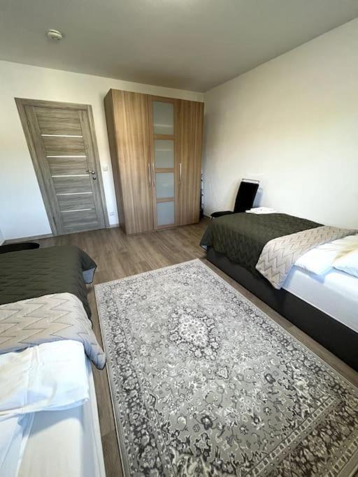 Familienwohnung Naehe Europapark, Messe, Gifiz See Offenburg Kültér fotó